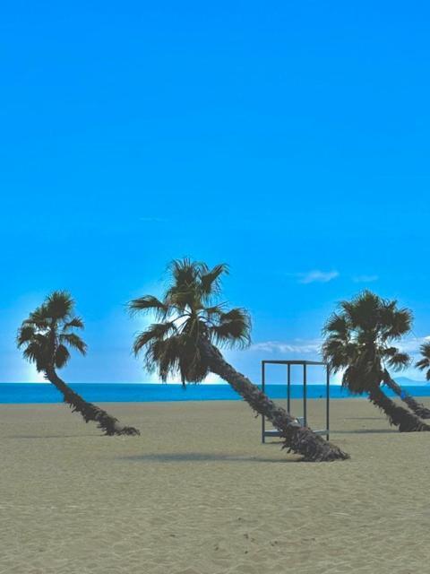 Appartement 4 Personnes Piscine 300 Plage 4Pb287 Le Barcares Exterior photo